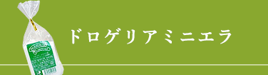 ドロゲリアミニエラ